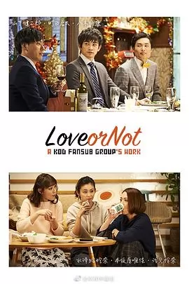 Love or Not